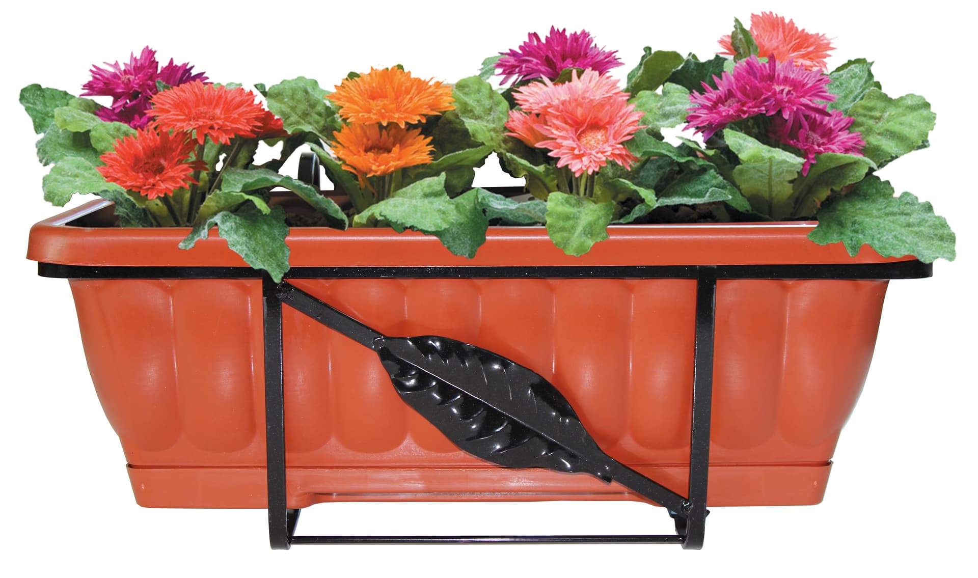 Set Balconi Fioriti Rettangolare 50 cm 6 Pezzi - 2