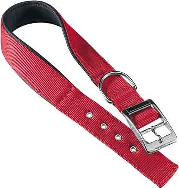 Collare per Cani Daytona C 20 mm x 35÷43 cm Ferplast Colore Rosso