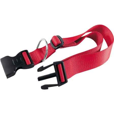 Collare per Cani Club C 20 mm x 36÷56 cm Ferplast - 5