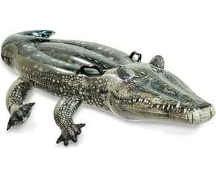 Alligatore Vero Gonfiabile Cavalcabile +3 Anni 170 CMX86 Peso 0,80 kg - 4