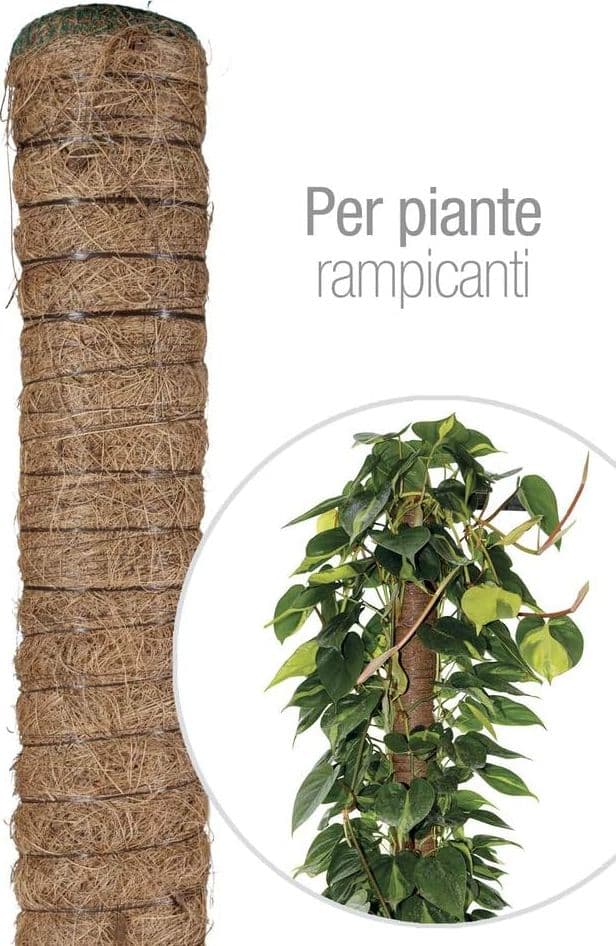 Bastone Piante Rampicanti Tutore Muschiato con Tubo in Tutori Muschiati - 5