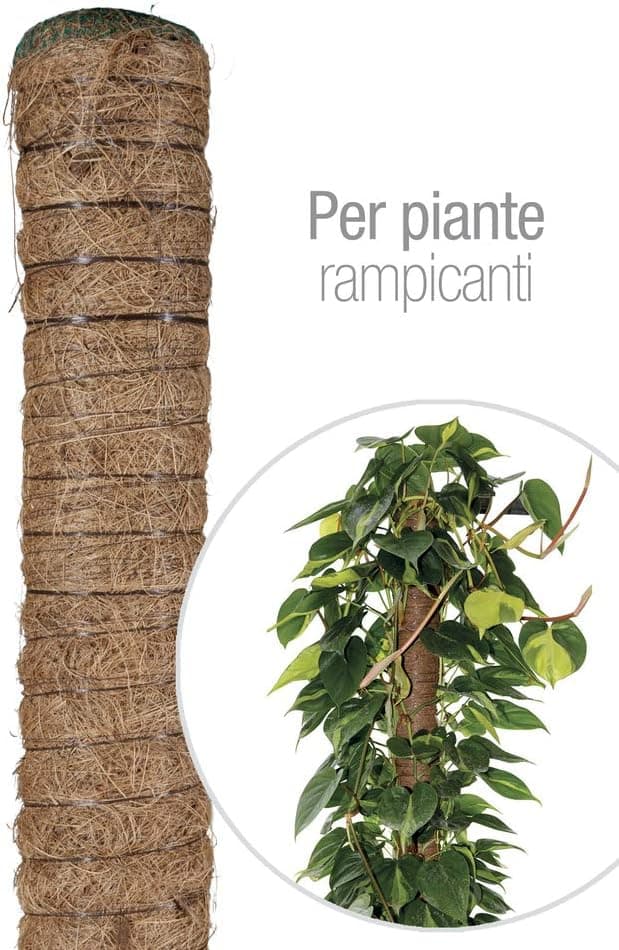 Bastone Piante Rampicanti Tutore Muschiato con Tubo in Tutori Muschiati - 5