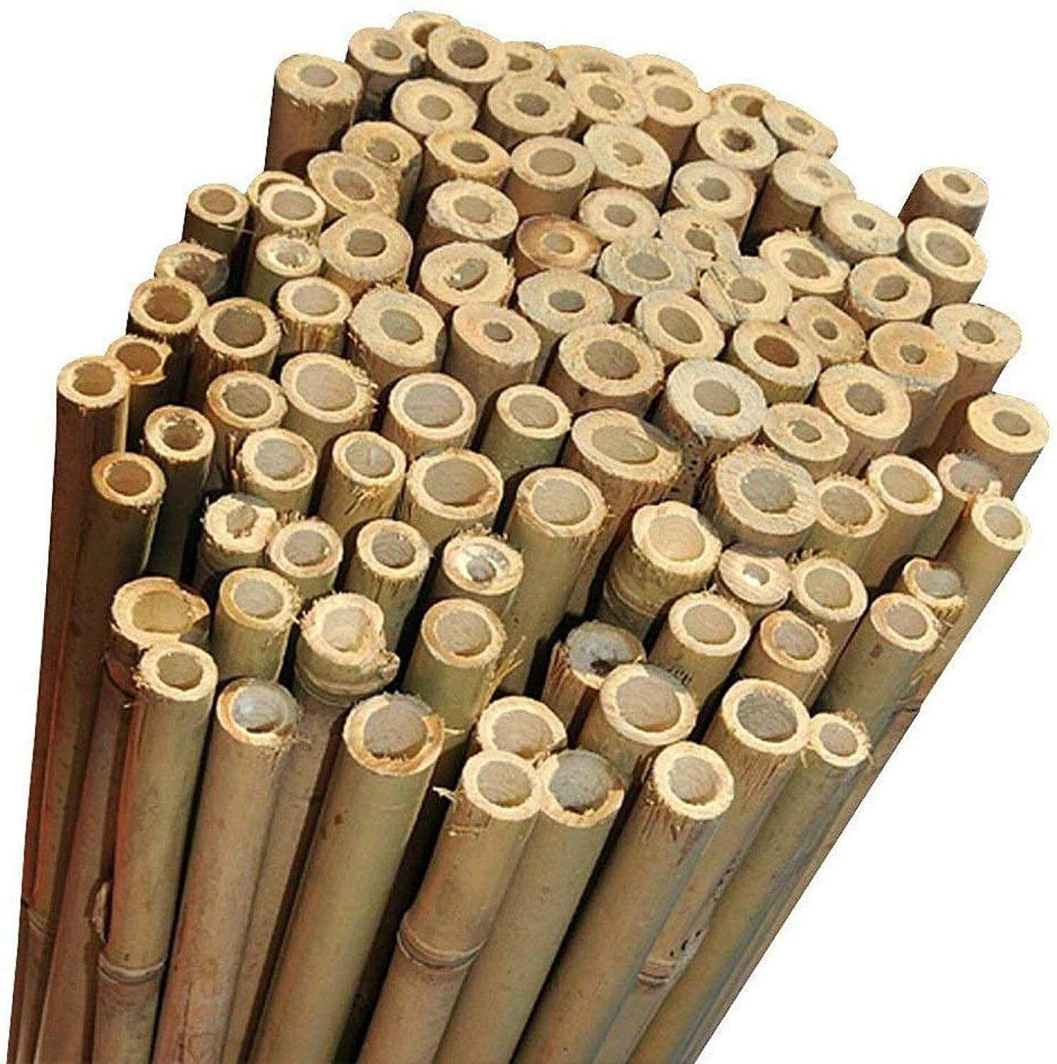 Canne di Bamboo per Tutori Piante T Rex Ø 20 mm 22 mm Altezza 150 50 Pezzi - 4