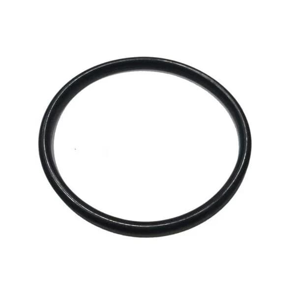 Guarnizione Or per Sede Estraibile 8 Pezzi Pucci 80006596 - 3