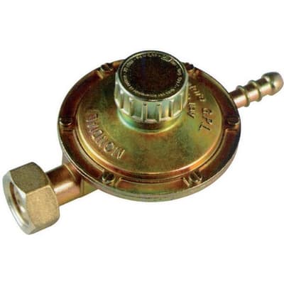 Regolatore Gas con Taratura Regolabile Attacco Orizzontale Gnali 1 Kg H - 3
