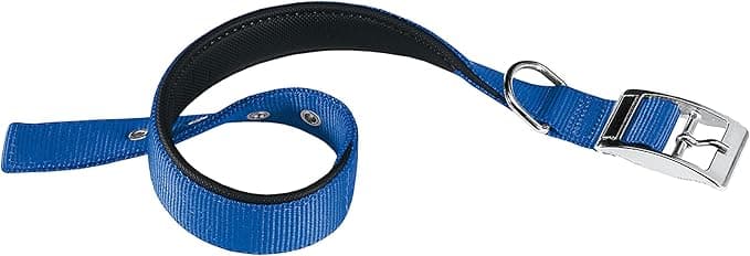 Collare per Cani Daytona C 25 mm x 45÷53 cm Ferplast Colore Blu - 6