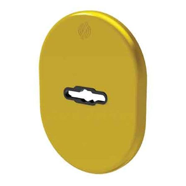 Mostrina Esterna Interna Doppia Mappa 4301 Securemme Colore Cromo Satinato - 2
