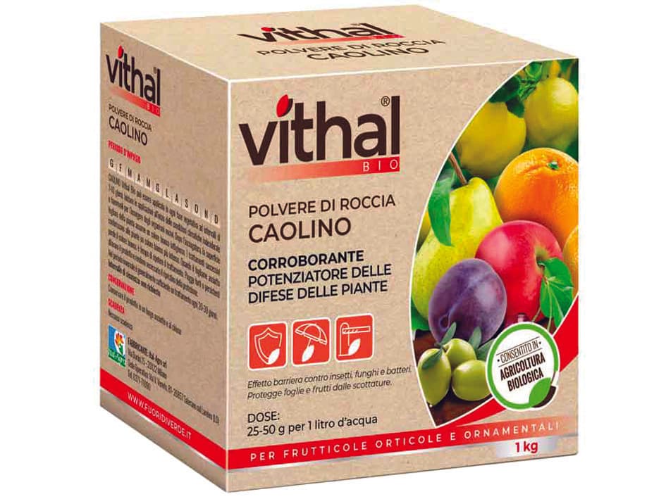 Polvere di Roccia Caolino Vithal Bio 1 kg Vithal - 7