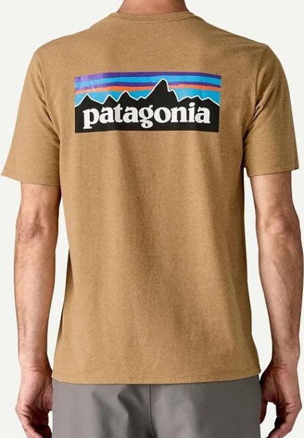 T Shirt Patagonia P-6 Logo Responsibili-Tee Beige in T-shirt Glad Store - Genova, commercioVirtuoso.it