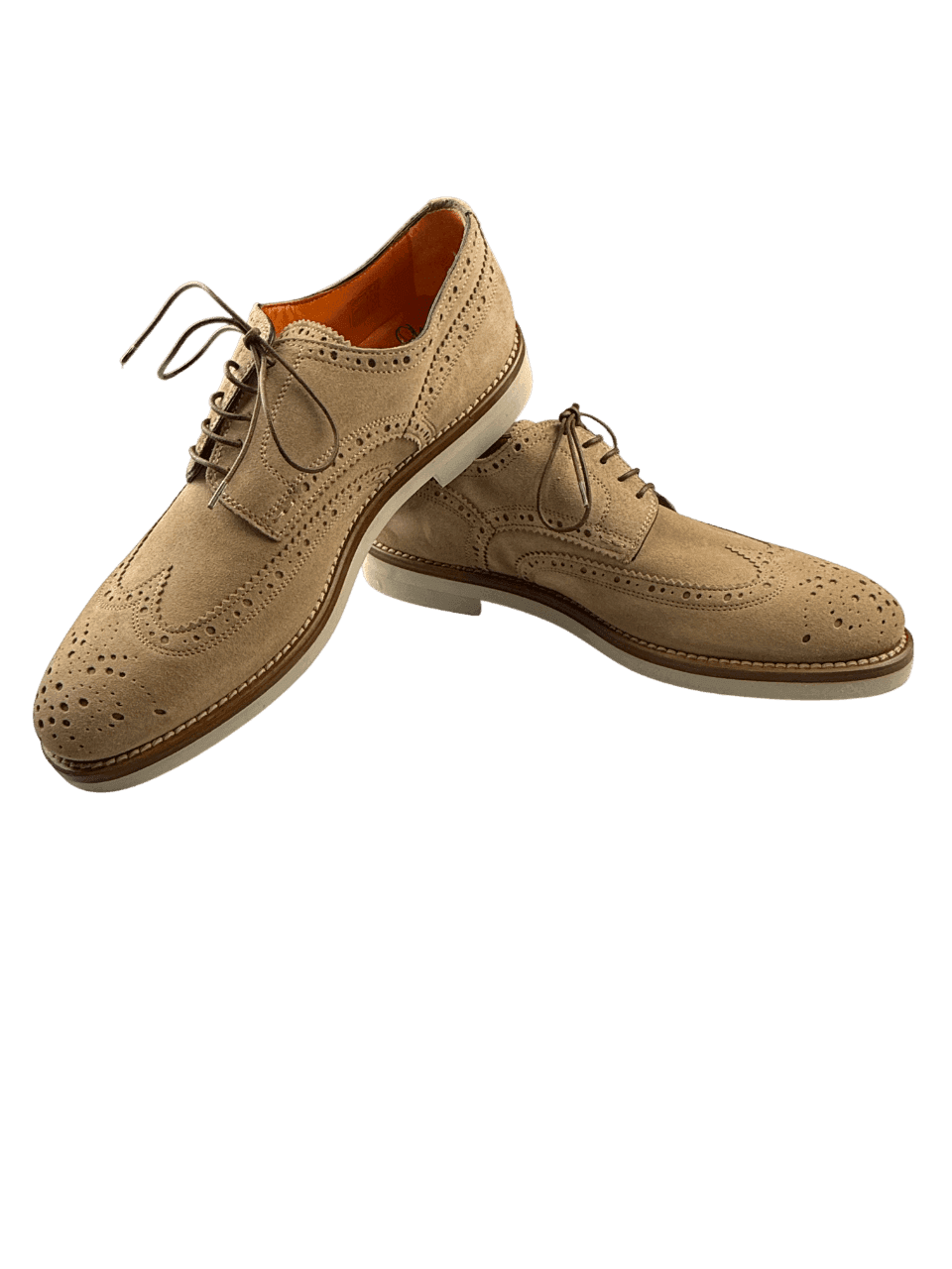 Scarpa Uomo Santoni - Derby Brogue Rondine - 5
