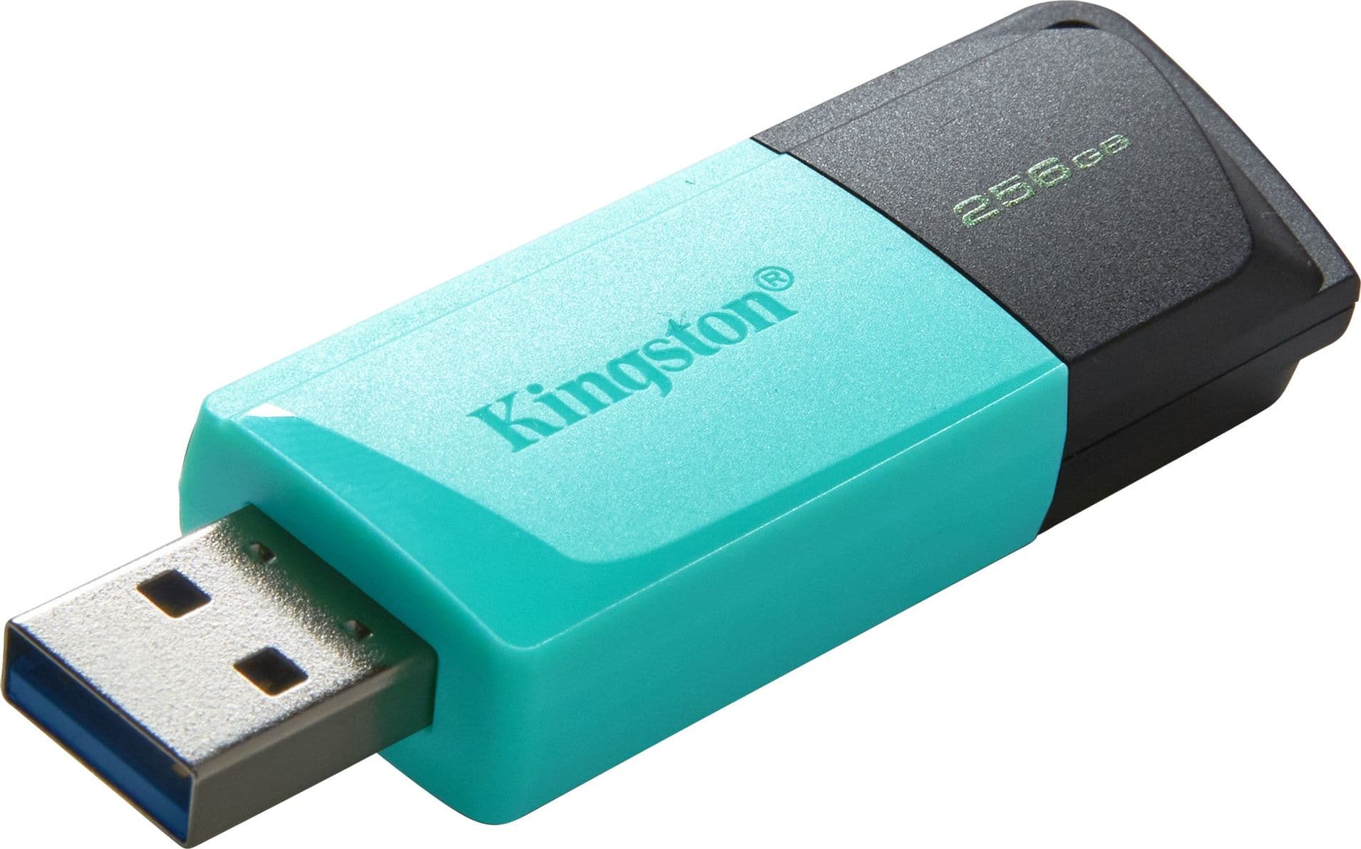 Kingston Pendrive USB-A 3.2 256GB DTXM/256GB Nero/Azzurro - 5
