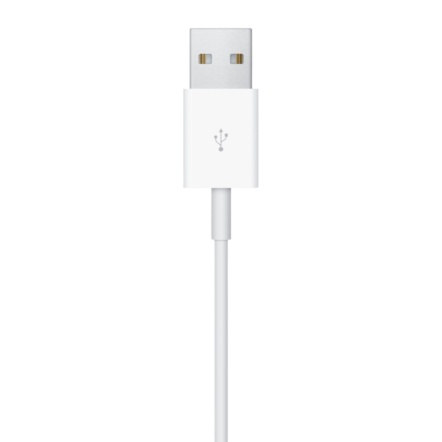 Apple Cavo Magnetico Ricarica Apple Watch USB-A 1m MW6A3ZM/A - 4