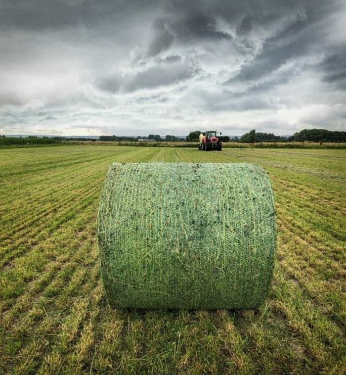 Rete per rotopressa Cotesi Cross X-Pand 123cm x 2000m - 4