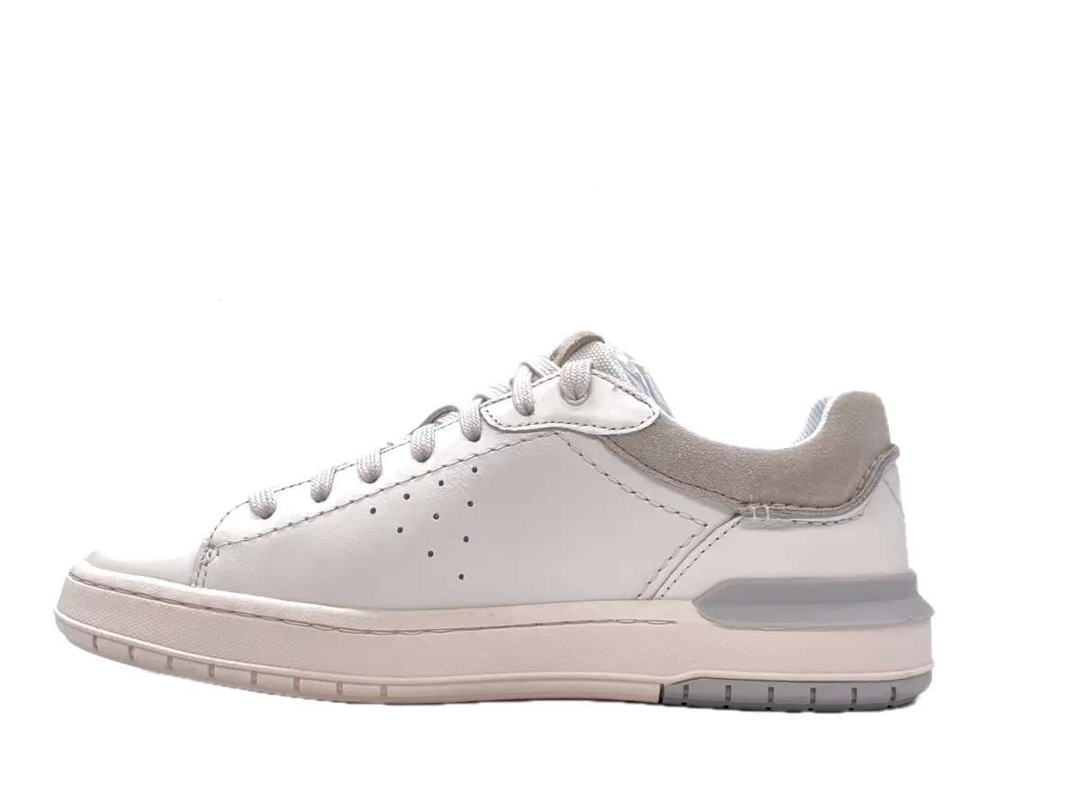CLARKS COURTLITE 2 RUN Sneakers Uomo Off White in Sneaker casual Calzature Durello - Agna, commercioVirtuoso.it