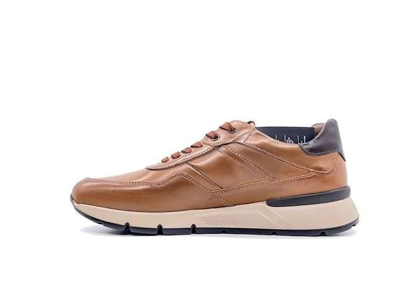 NERO GIARDINI Sneakers Uomo Cuoio Caff in Sneaker casual Calzature Durello - Agna, commercioVirtuoso.it