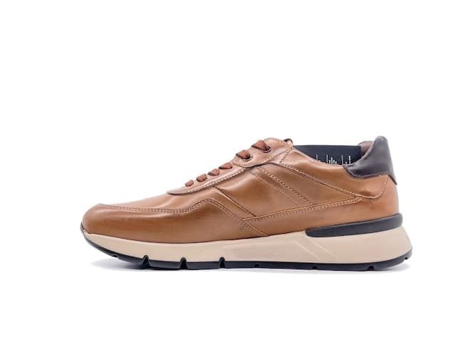 NERO GIARDINI Sneakers Uomo Cuoio Caff in Sneaker casual Calzature Durello - Agna, commercioVirtuoso.it