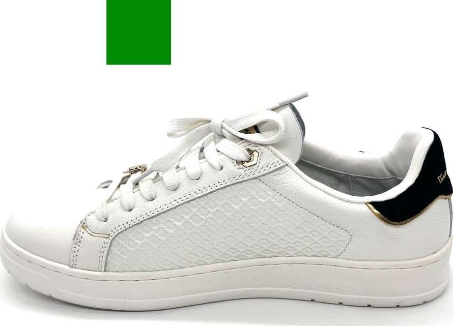 LAMBORGHINI Sneakers tennis in pelle bianca e oro in Scarpe da corsa su strada Calzature Durello - Agna, commercioVirtuoso.it