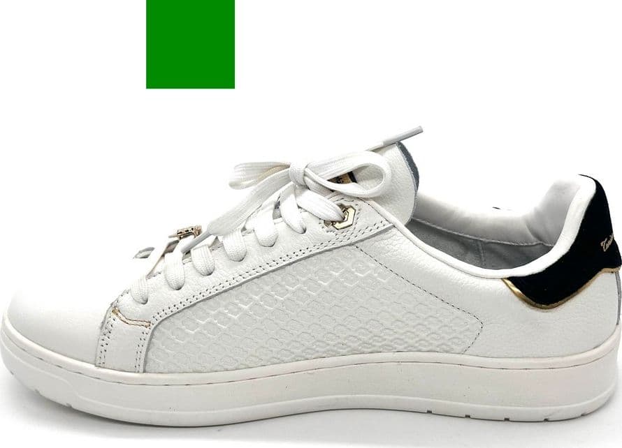 LAMBORGHINI Sneakers tennis in pelle bianca e oro in Scarpe da corsa su strada Calzature Durello - Agna, commercioVirtuoso.it