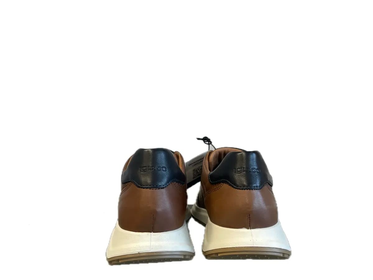 IGI &amp; CO.. Sneakers uomo in pelle forata tabacco in Sneaker casual Calzature Durello - Agna, commercioVirtuoso.it