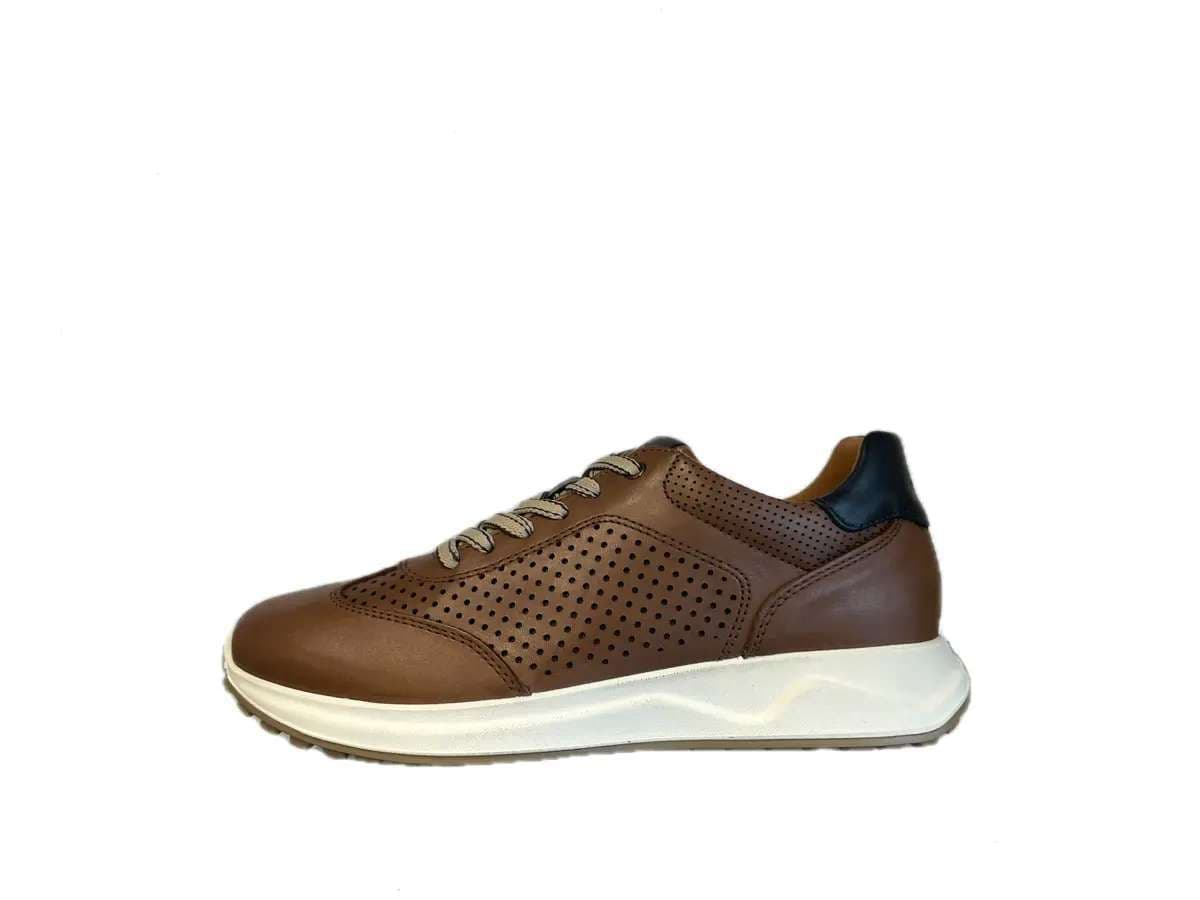 IGI &amp; CO.. Sneakers uomo in pelle forata tabacco - 5