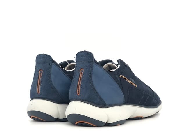 GEOX Sneakers uomo Nebula C in Sneaker casual Calzature Durello - Agna, commercioVirtuoso.it