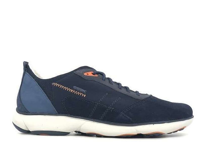 GEOX Sneakers uomo Nebula C in Sneaker casual Calzature Durello - Agna, commercioVirtuoso.it
