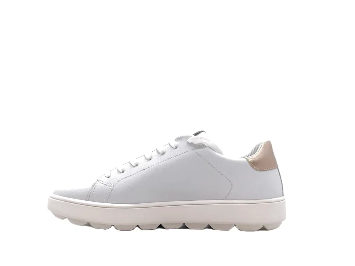 GEOX Sneakers Donna Spherica White Gold in Sneaker casual Calzature Durello - Agna, commercioVirtuoso.it