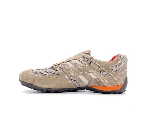 GEOX Sneakers uomo U SNAKE L beige in Sneaker casual Calzature Durello - Agna, commercioVirtuoso.it