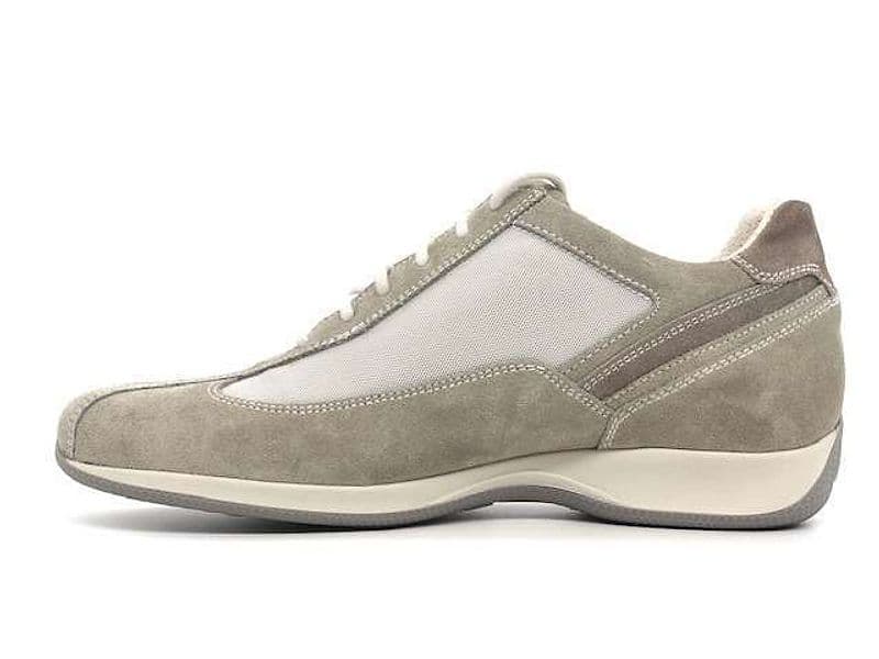 NERO GIARDINI Sneakers donna Velour Cenere in Sneaker casual Calzature Durello - Agna, commercioVirtuoso.it