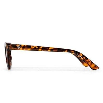 Occhiali CHPO Amy Brown 16132CA in Uomo Glad Store - Genova, commercioVirtuoso.it