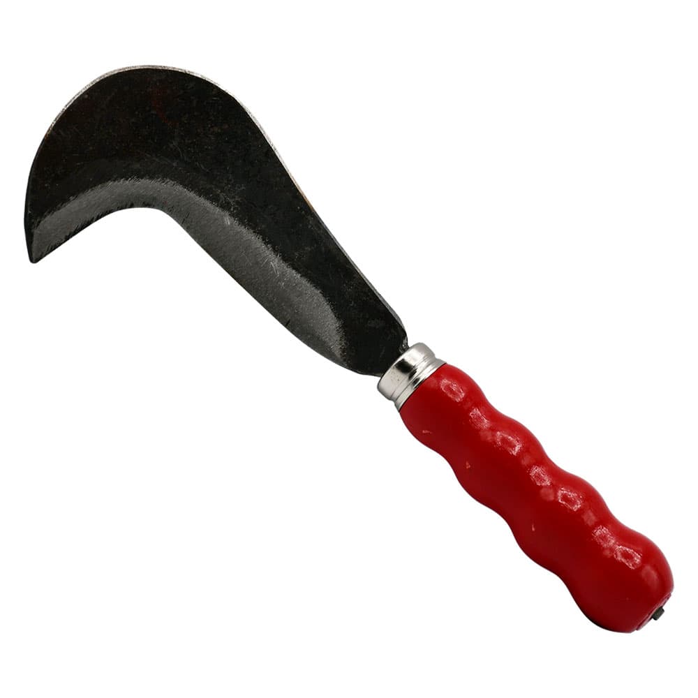 Roncoletta da Vigna Lif 12 cm - 2