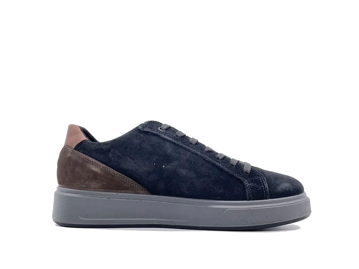 IGI &amp; CO.. Sneakers uomo pelle scamosciata blu notte in prodotto Calzature Durello - Agna, commercioVirtuoso.it