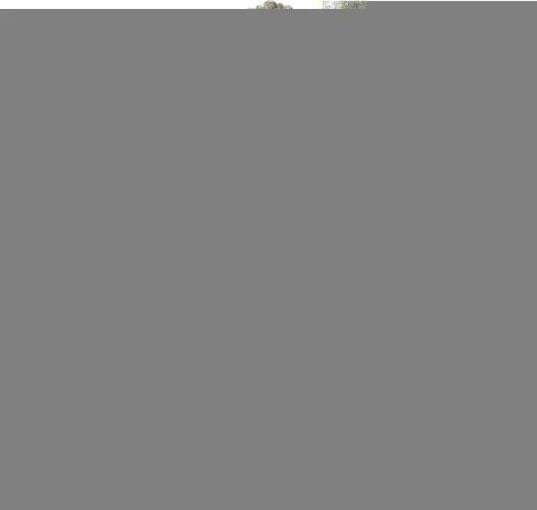 16015-ANN-W4M  BORSE A TRACOLLA L'Atelier du Sac Argento 0000000345 - 5