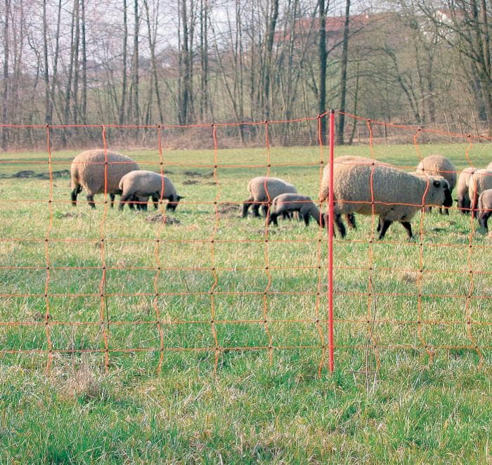 Rete per ovini da 108 cm con 14 picchetti - 5
