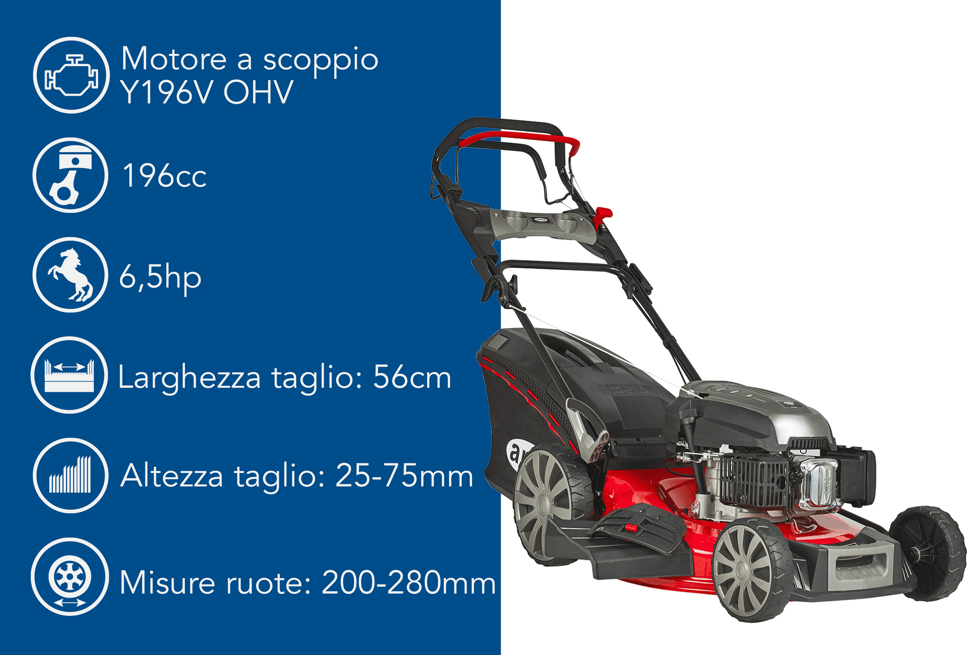 Rasaerba a trazione Ama TRX 560HL da 196cc funzioni 4in1 - 3