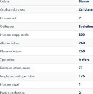 Rotolo asciugatutto di carta 800 strappi confezione da 2 pezzi - 2