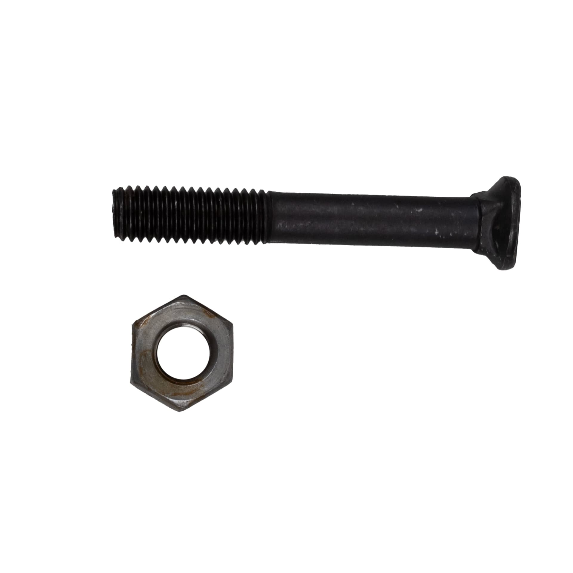 Bullone testa ovale M10x70 con dado confezione da 25 pezzi - 2