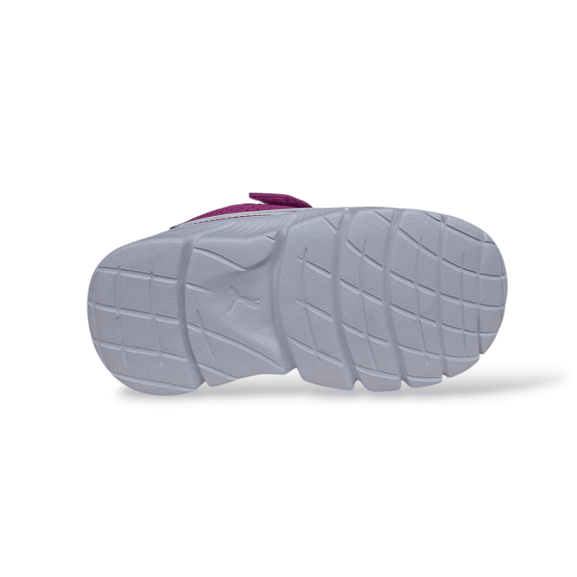 Sneakers bambina PUMA FlexFocus Modern fucsia bianco con velcro in Ballerine Scarpetteria Gica - Trani, commercioVirtuoso.it
