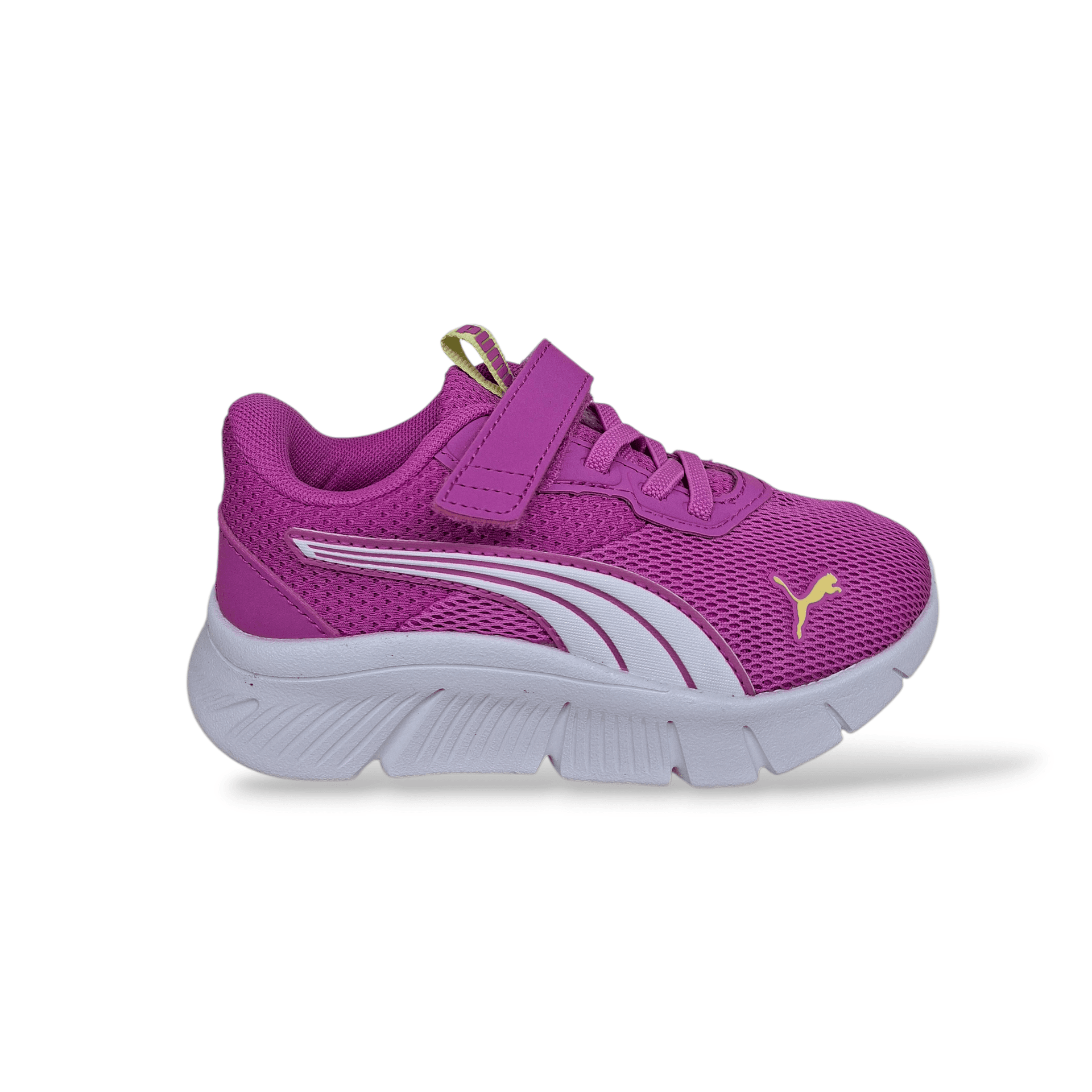 Sneakers bambina PUMA FlexFocus Modern fucsia bianco con velcro in Ballerine Scarpetteria Gica - Trani, commercioVirtuoso.it