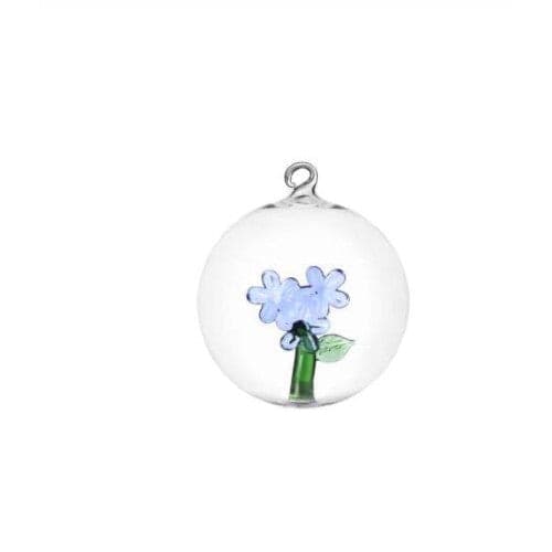 Ichendorf Palla di Natale fiore azzurro botanica