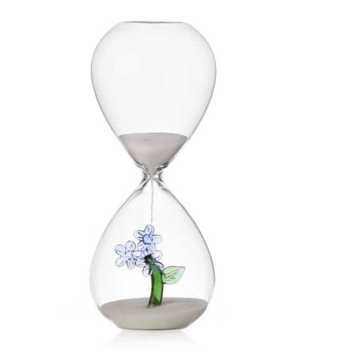 Ichendorf Clessidra fiore azzurro botanica