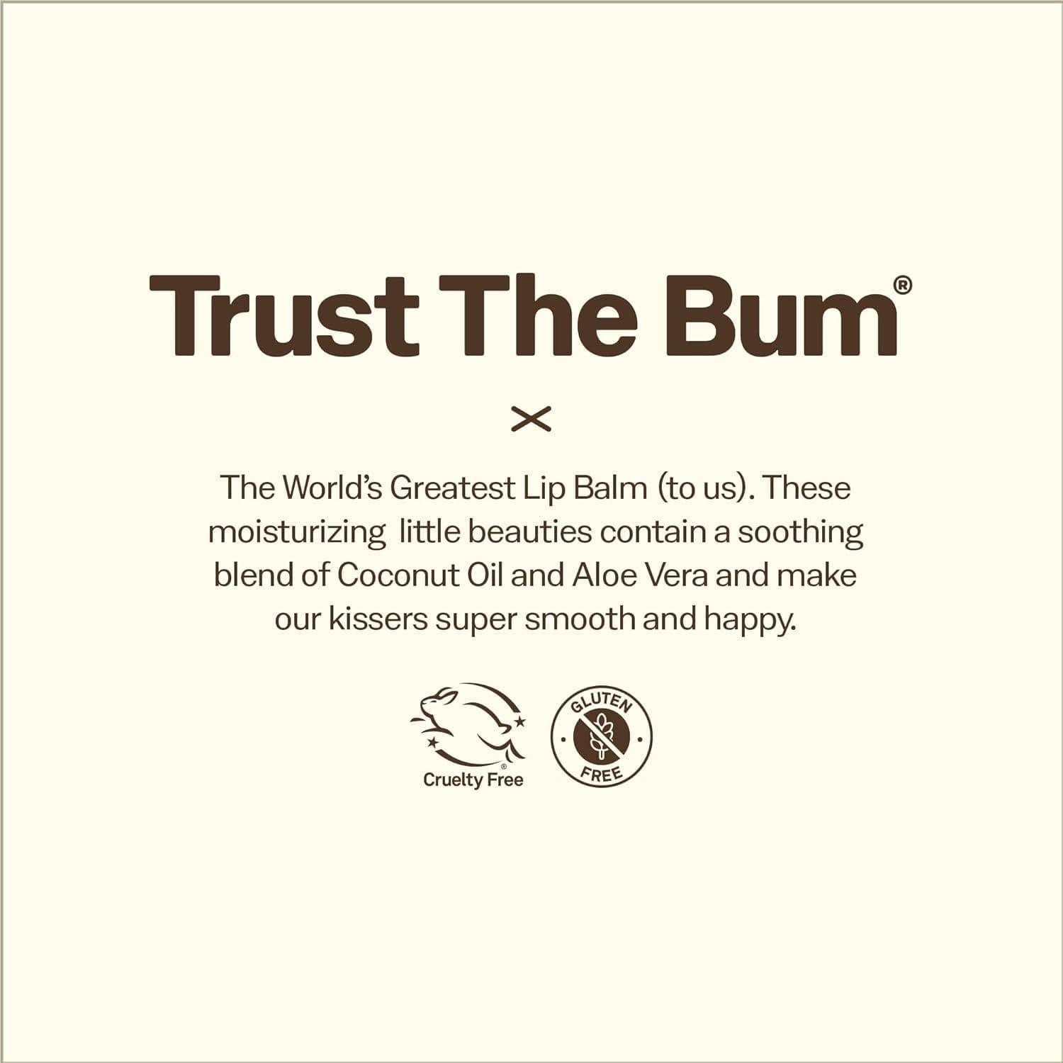 Sun Bum CocoBalm Moinst Lip Balm Groove Cherry - 6
