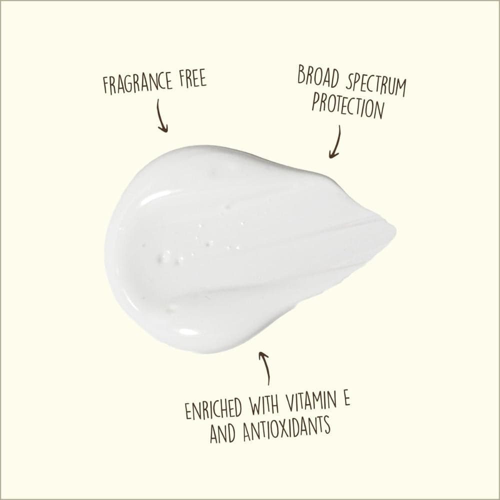 Sun Bum SPF 50 Clear Face Sunscreen Lotion in Ginevra Glad Store - Genova, commercioVirtuoso.it
