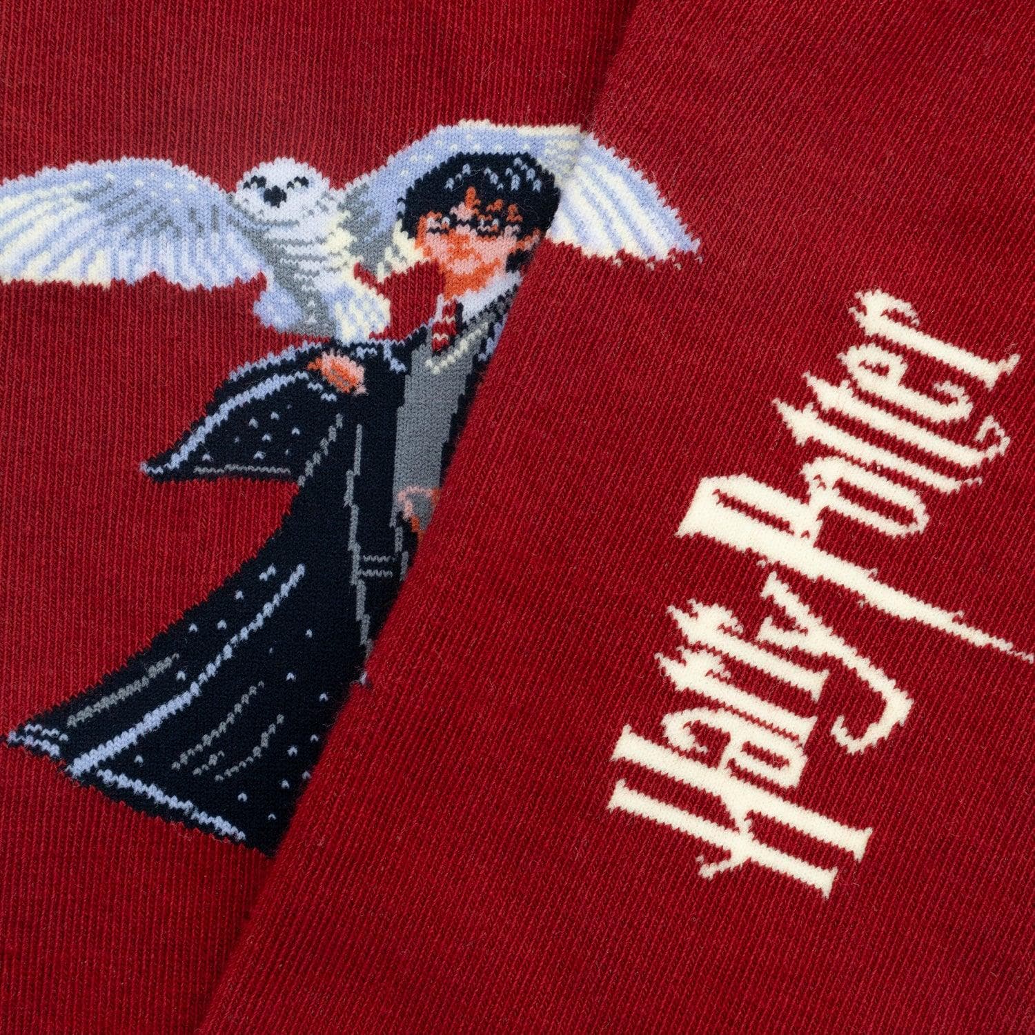 Calze Jimmy Lion Harry Potter The Boy Who Lived      multicolor - 3