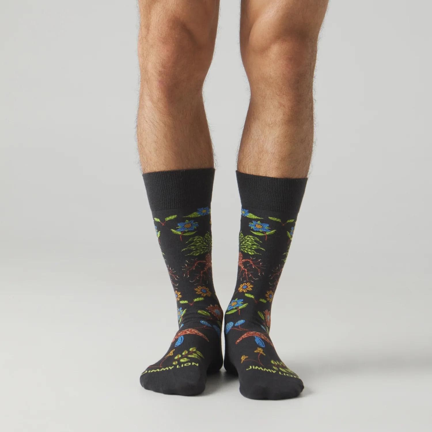 Calze Jimmy Lion Harry Potter Herbolog multicolor in Ginevra Glad Store - Genova, commercioVirtuoso.it