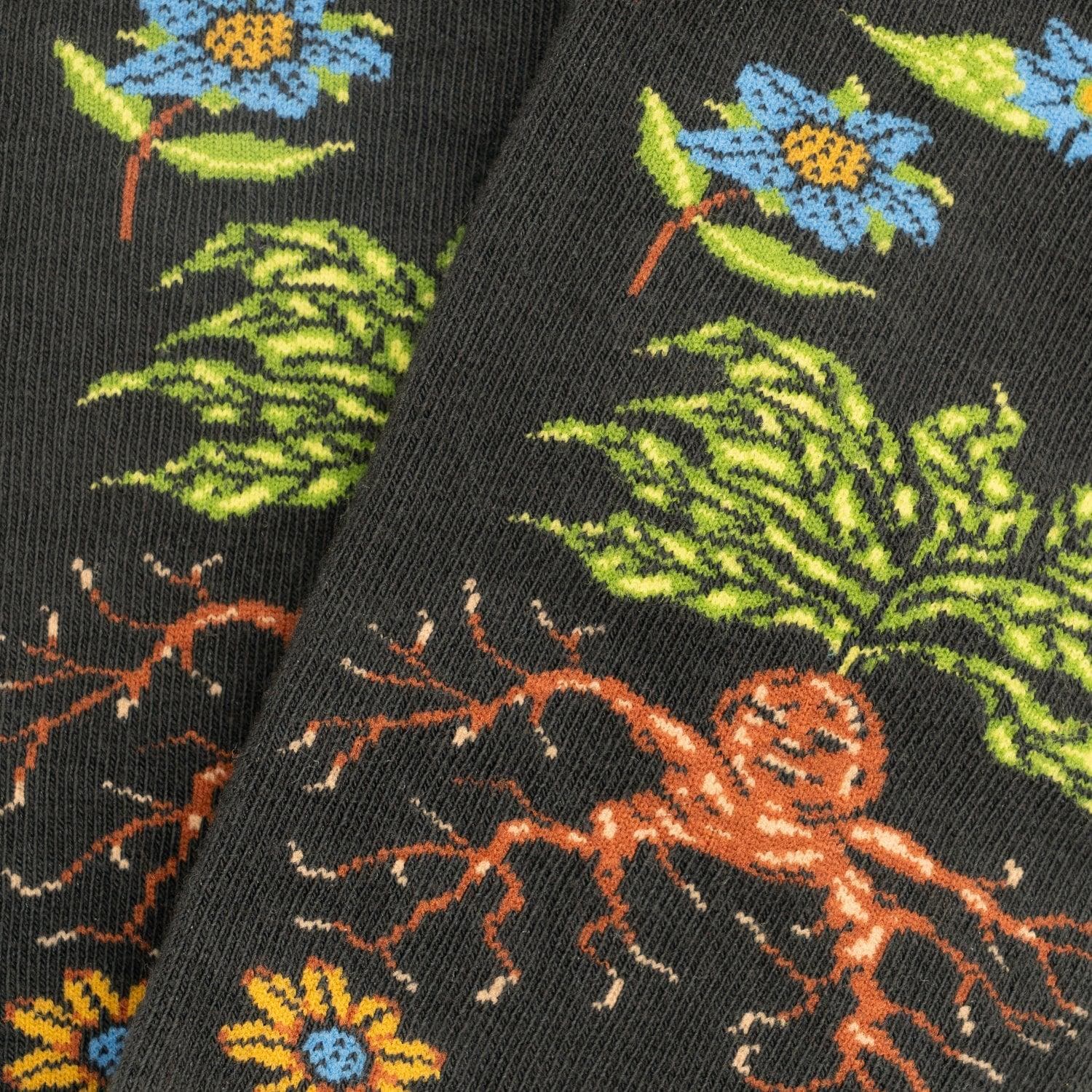 Calze Jimmy Lion Harry Potter Herbolog      multicolor - 3