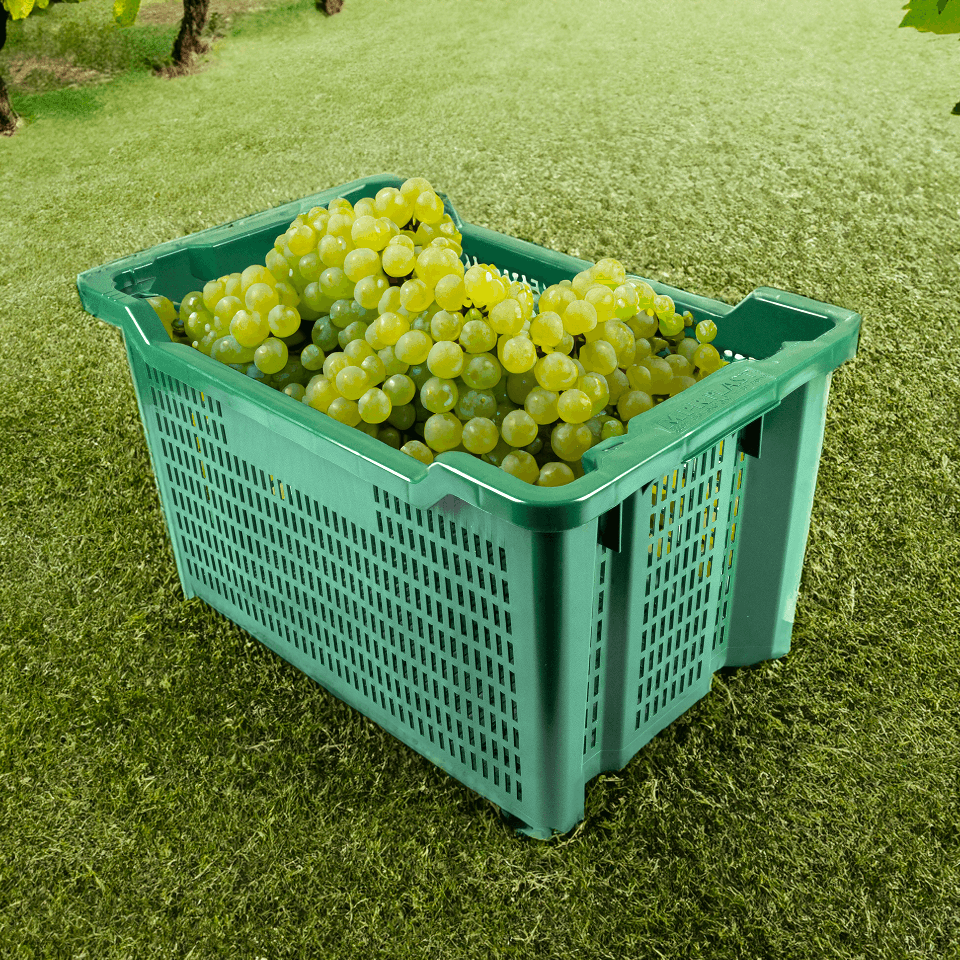 Cassetta agricola aperta impilabile 40L - 6