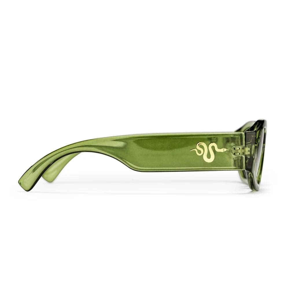 Occhiali CHPO Brooklyn green in Ginevra Glad Store - Genova, commercioVirtuoso.it
