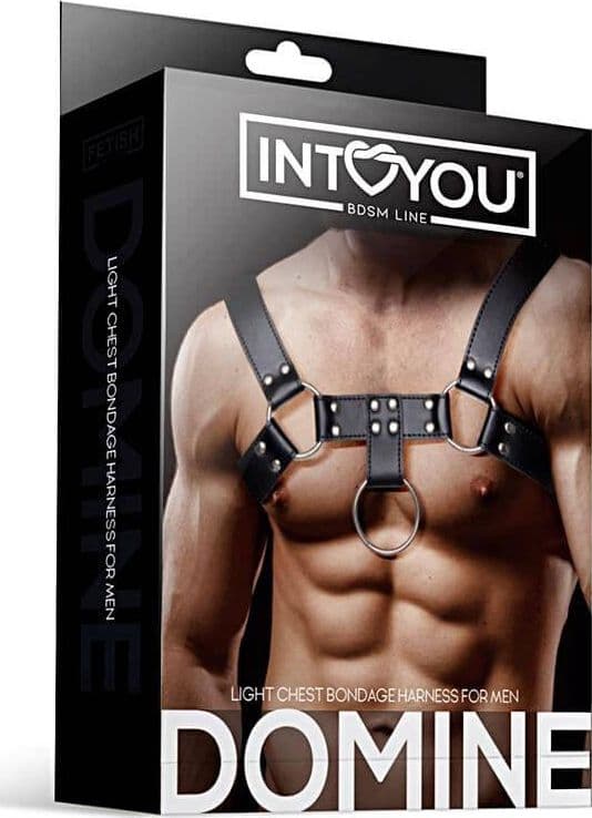 Domine BDSM line imbracatura per uomo fetish play, roleplay e look da club - 4