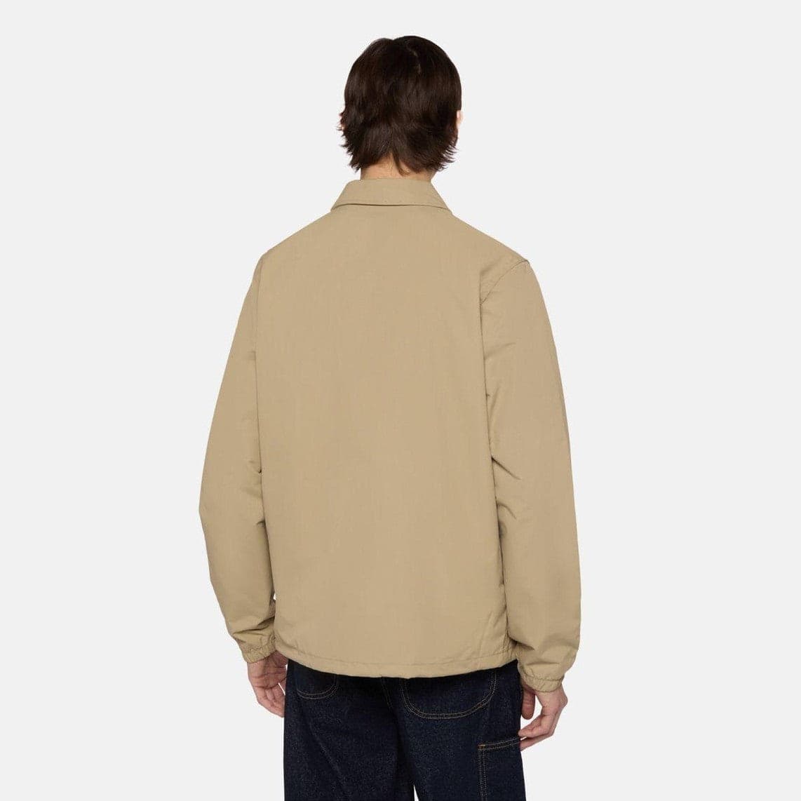 Giacca Dickies Coach Oakport khaki in Ginevra Glad Store - Genova, commercioVirtuoso.it